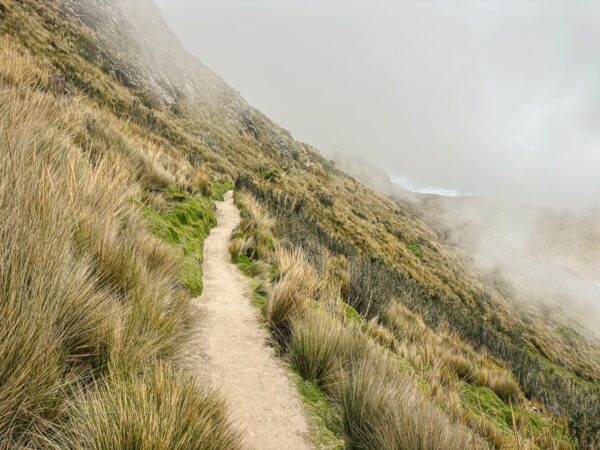 Winding trail through lush grasses and mist near Pichincha Volcano in Ecuador, showcasing the rugged landscape.