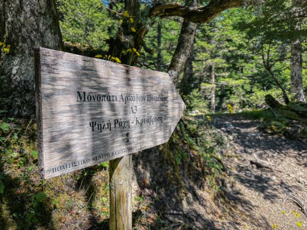 Wooden trail sign pointing towards Lagadia, surrounded by lush greenery in Arcadia, Greece, highlighting the area's natural beauty.