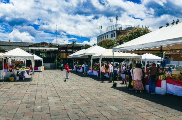 Colorful market stalls with vibrant produce and flowers under white tents, bustling with shoppers in Ibarra, Ecuador.