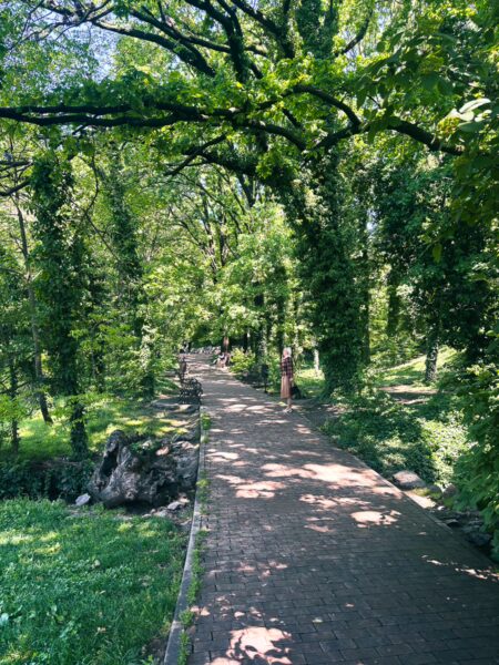 Lush green trees frame a serene path in the Botanical Garden, Craiova, Romania, inviting visitors to explore nature's beauty.
