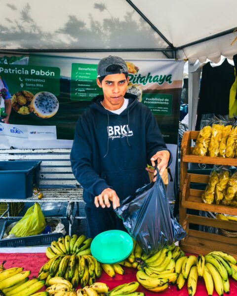 Fresh bananas arranged on a market stall, with a vendor preparing to serve customers in Ibarra, Ecuador.
