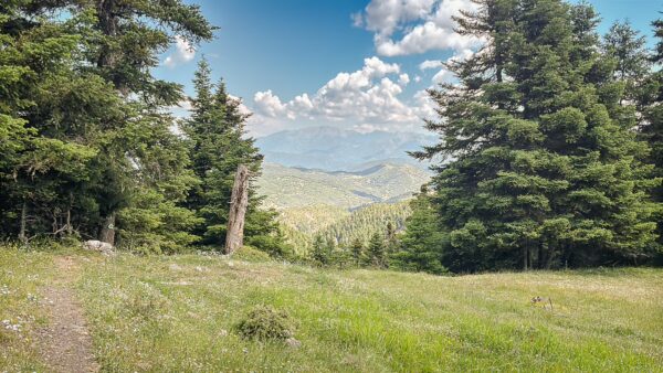 Lush green meadows and towering trees frame a breathtaking view of rolling hills in Lagadia, Arcadia, Greece.