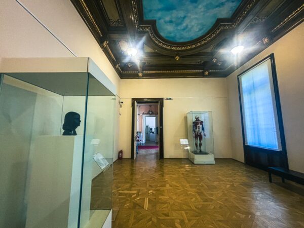 Elegant interior of the Craiova Art Museum, showcasing art displays under a beautifully painted ceiling.