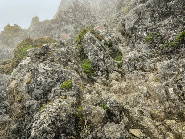 Rugged rocks covered in moss and greenery with foggy surroundings near Imbabura Volcano, Ecuador.