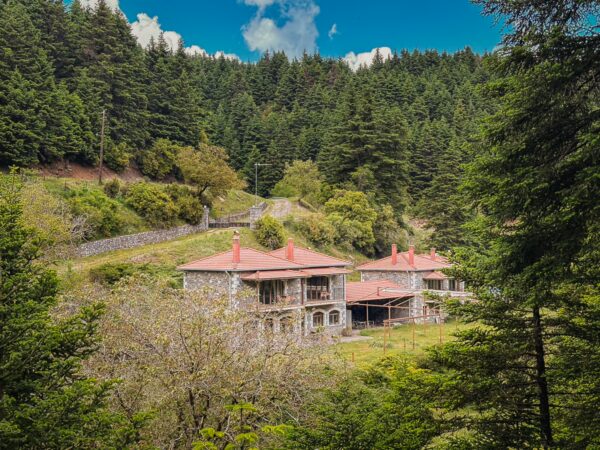 Charming stone houses with red roofs nestled among lush green trees in Lagadia, Arcadia, Greece, against a blue sky.