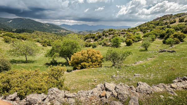 Rolling green hills and lush vegetation showcase the natural beauty of Valtesiniko to Lagadia in Arcadia, Greece.
