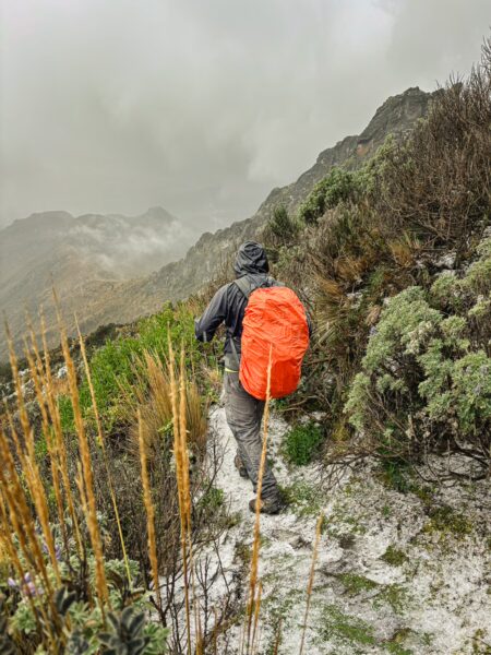 Hiker with an orange backpack navigates a rugged trail among lush vegetation and rugged terrain near Ruminahui, Ecuador.