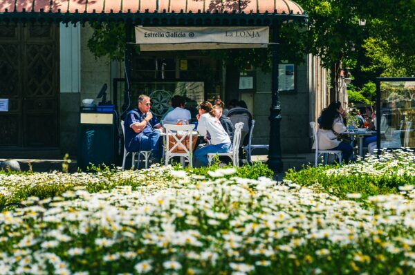Daisies bloom in the foreground while people enjoy meals at outdoor tables near Plaza de Oriente, Madrid.