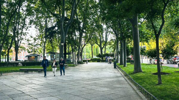 Lush green trees line Paseo del Prado in Madrid, Spain, as visitors stroll along the paved path in a serene atmosphere.