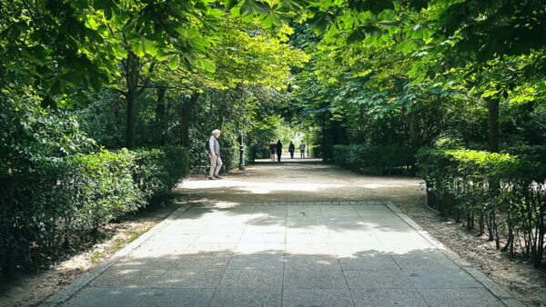 Lush greenery lines the pathway in Parque El Retiro, Madrid, Spain, inviting visitors to explore its serene beauty.