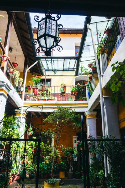 Colorful plants and flowers adorn the courtyard of Vicente León Street, creating a vibrant oasis in Quito, Ecuador.