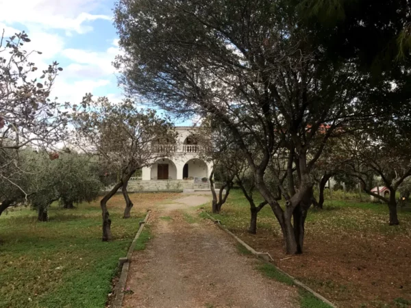 Charming pathway lined with trees leads to a rustic house in Chalkis, surrounded by lush greenery and a serene sky.