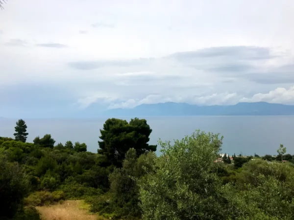 Lush greenery frames a serene view of the sea and distant mountains at Chalkis, creating a peaceful coastal landscape.