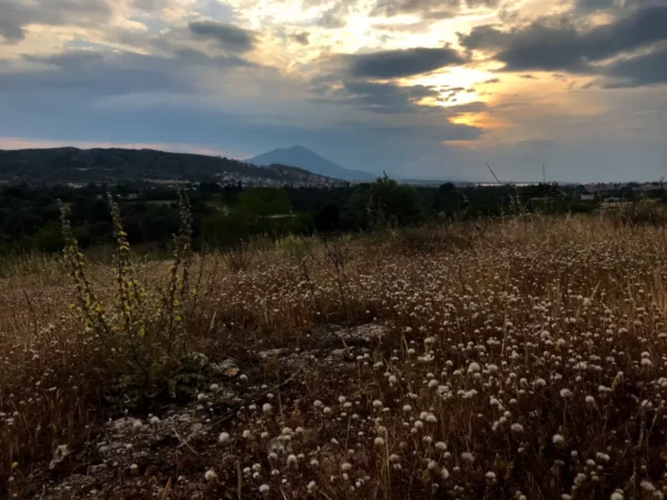 Golden grass and wildflowers bloom on a hillside, with a backdrop of dramatic clouds and sunset over Chalkis.