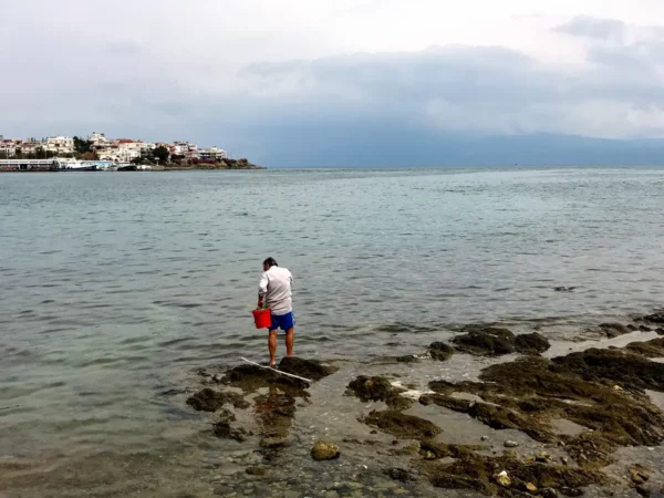 A man stands on rocky shorelines, collecting something from the water, with Chalkis town visible in the background.