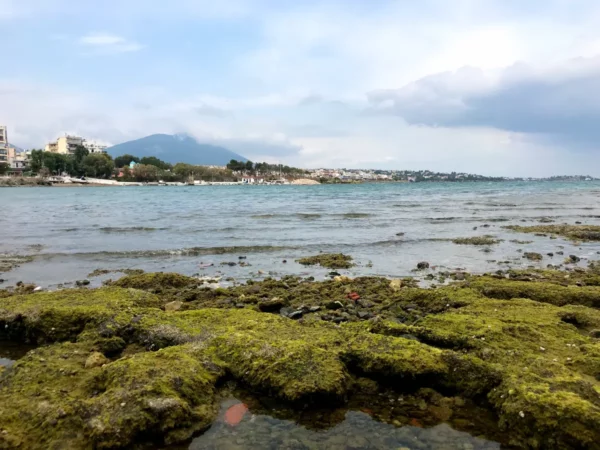 Clear waters gently lap against rocky shores, with vibrant green moss covering stones in Chalkis, under a cloudy sky.