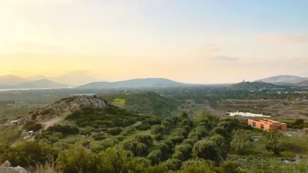 Serene landscape featuring rolling hills and olive groves under a sunset sky, with Chalkis in the distance.