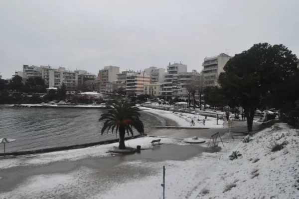 Snow-covered shoreline with palm trees and a beachfront promenade lined with buildings in Chalkis, Euboea, Greece.