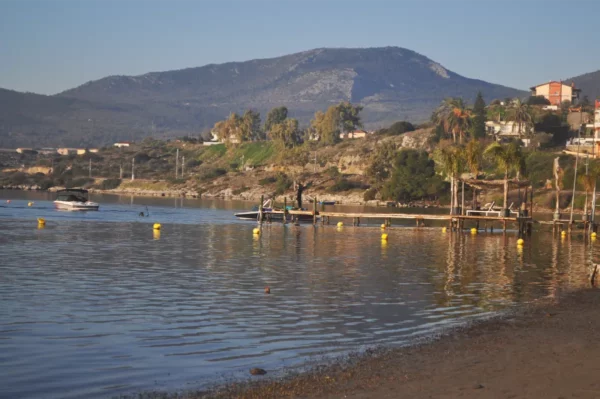 Clear waters reflect the sun near a dock in Chalkis, Euboea, with boats and palm trees lining the serene shoreline.