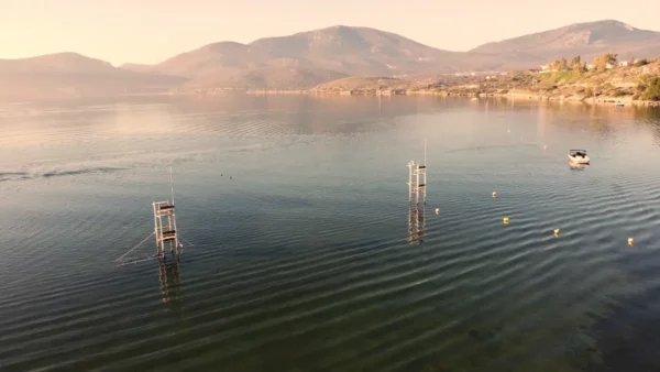Calm waters reflect the soft colors of dawn, with wooden structures rising above the surface near Chalkis, Euboea, Greece.